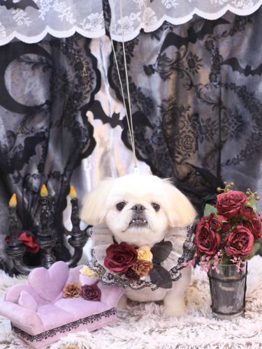 20231014エイトくん